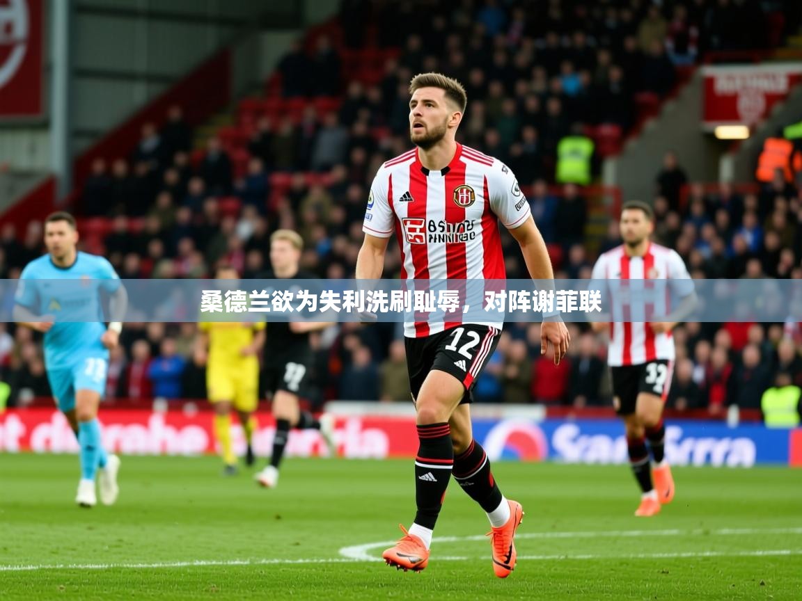 2025开云体育app优惠桑德兰欲为失利洗刷耻辱，对阵谢菲联