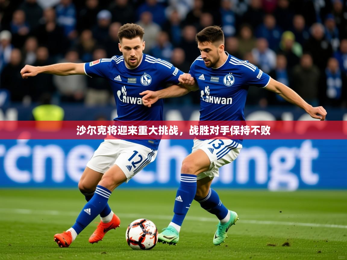 2025开云体育app官网下载地址沙尔克将迎来重大挑战,战胜对手保持不败